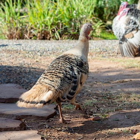 Ferme Sidi Safou & Spa Marrakesh Ngoại thất bức ảnh