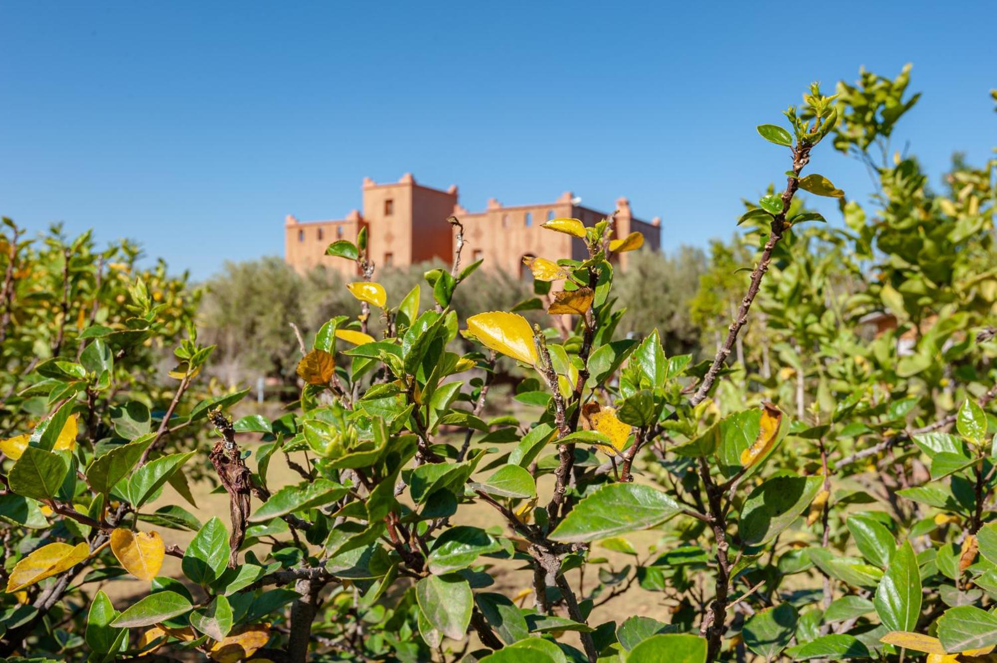 Ferme Sidi Safou & Spa Marrakesh Ngoại thất bức ảnh