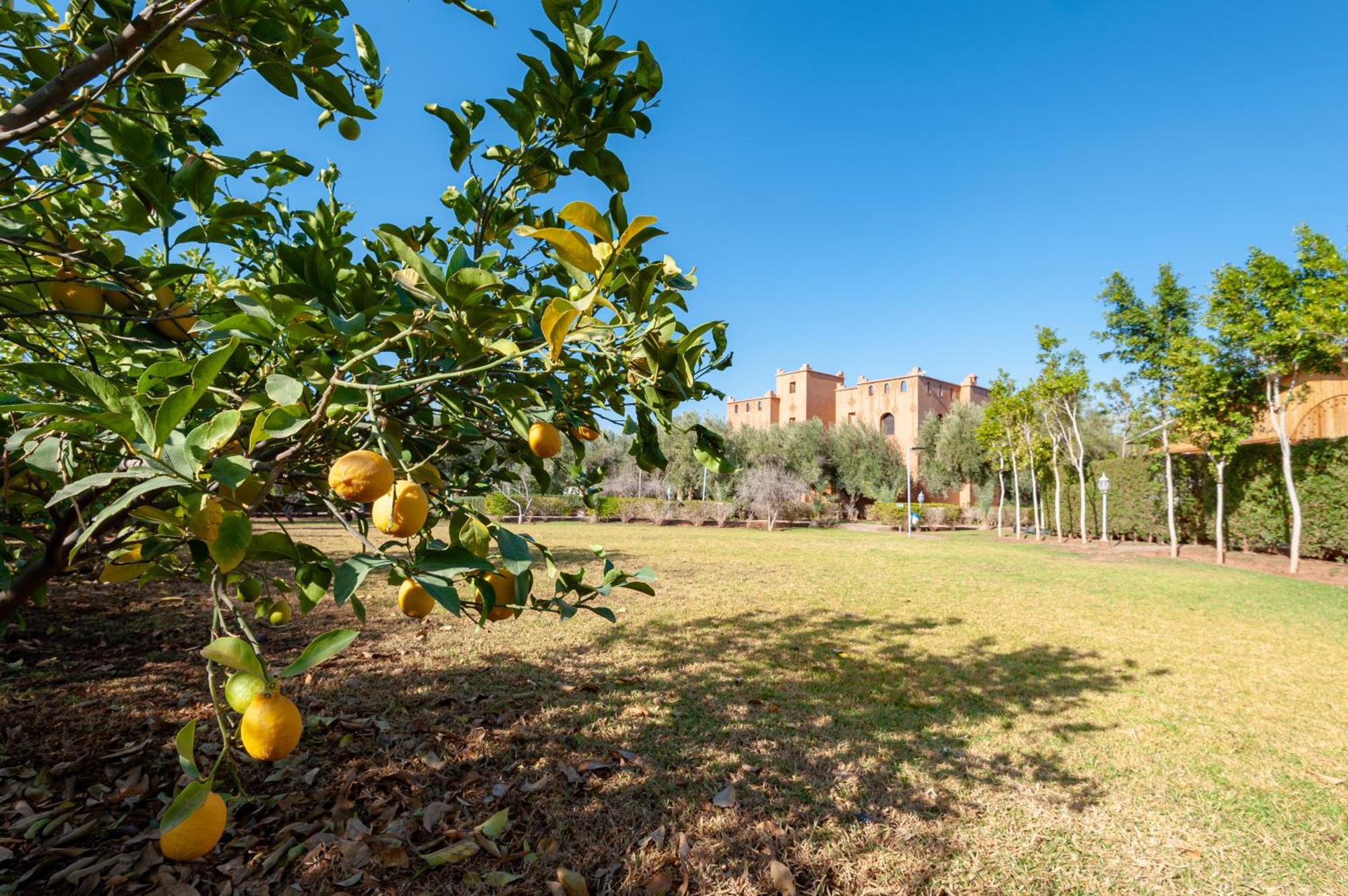 Ferme Sidi Safou & Spa Marrakesh Ngoại thất bức ảnh