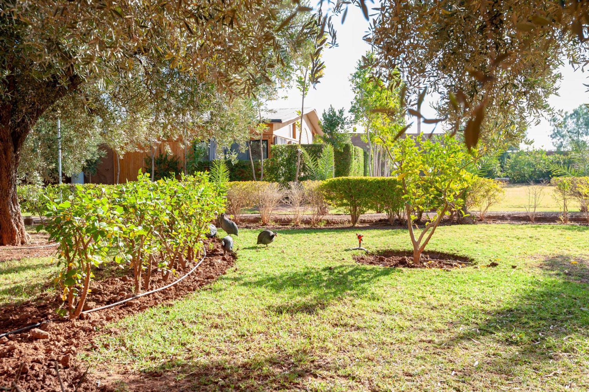 Ferme Sidi Safou & Spa Marrakesh Ngoại thất bức ảnh